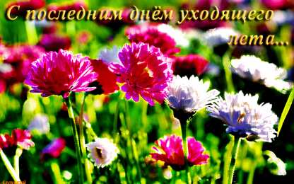 Открытки с последним днем лета Открытки с последним днем лета скачать бесплатно. Открытки прощай лето.