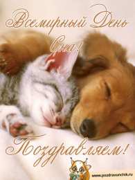 Открытки на Всемирный день сна Поздравительные открытки с пожеланиями на Всемирный день сна.