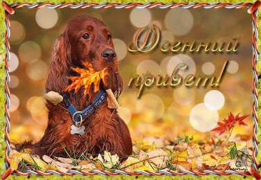 Открытки с первым днем осени Красивые анимационные открытки на первый день осени скачать бесплатно