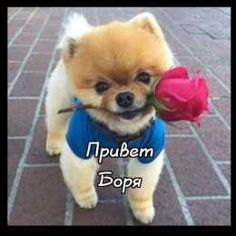 Открытки с именем Борис Открытки с днём рождения Борис. Красивые открытки с мужскими именами.