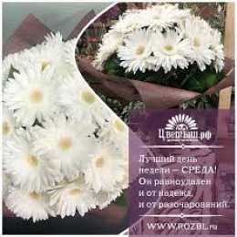 Открытки на среду Открытки с пожеланиями отличной среды. Красивые открытки на среду.