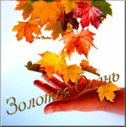 Открытки Золотая Осень  Чудесные открытки на тему Золотая Осень скачать бесплатно gif.