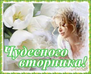 Открытки Открытки на вторник Позитивные открытки на вторник. Картинки про вторник скачать бесплатно. Прикольные открытки на вторник. Красивые открытки на вторник. Картинки на вторник скачать бесплатно гиф. Открытки с пожеланиями на вторник. Отличного утра вторник открытки.