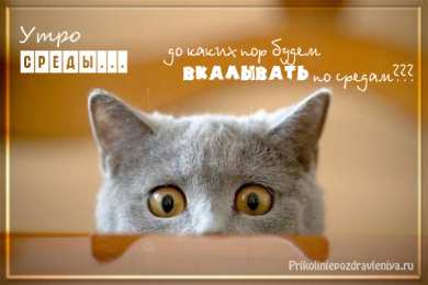 Открытки на среду Открытки с пожеланиями отличной среды. Красивые открытки на среду.