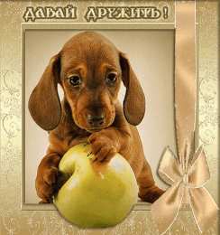 Открытки давай мириться Электронные открытки давай помиримся скачать бесплатно.     