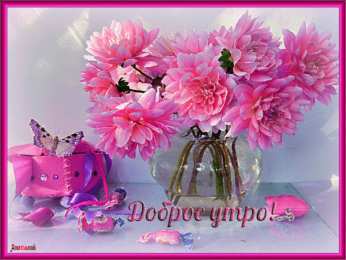 Открытки Открытки с добрым утром Открытка с пожеланиями доброго утра на каждый день скачать бесплатно  Открытки доброе утро скачать бесплатно. Анимационные картинки с пожеланиями удачного утра. Хорошего начала дня открытки gif. Открытки для вотсапа с добрым утром. Открытка с пожеланиями доброго утра на каждый день.