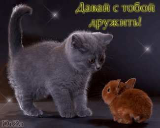 Открытки давай дружить Красивые анимационные открытки давай дружить скачать бесплатно.