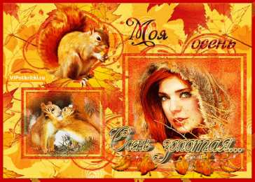 Открытки Золотая Осень  Чудесные открытки на тему Золотая Осень скачать бесплатно gif.