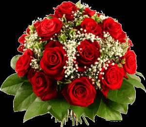 Открытки с цветами Красивые анимационные открытки с цветами на любой вкус бесплатно.