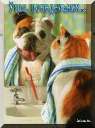 Открытки на понедельник Открытки с пожеланиями легкого понедельника скачать бесплатно.