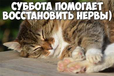 Открытки Открытки на субботу Интересные открытки на субботу. Веселые открытки на выходные.  Открытки на праздник субботы. Забавные открытки с приколами про субботу. Открытки с пожеланием отличной субботы. Веселые открытки на выходные скачать бесплатно.