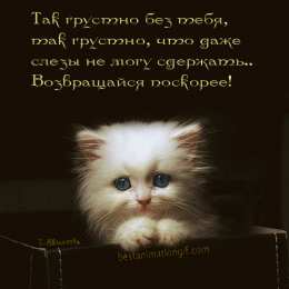 Открытки жду тебя Открытки я жду тебя gif. Открытки возвращайся скорее скачать бесплатно.