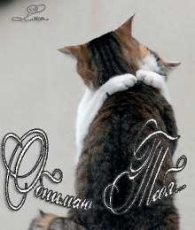 Открытки обнимаю Открытки хочу тебя обнять. Открытки крепко обнимаю скачать бесплатно.