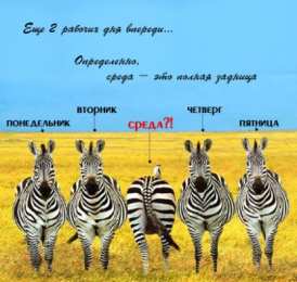 Открытки на среду Открытки с пожеланиями отличной среды. Красивые открытки на среду.