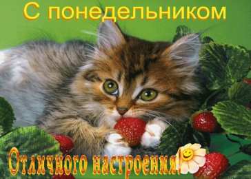 Открытки на понедельник Открытки с пожеланиями легкого понедельника скачать бесплатно.