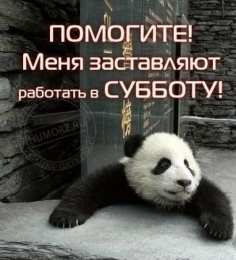 Открытки на субботу Интересные открытки на субботу. Веселые открытки на выходные. 