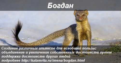 Открытки Открытки с именем Богдан Анимационные открытки с именем Богдан. Открытки с днём рождения Богдан. Открытки с надписью Богдан я люблю тебя. Открытки с пожеланиями на день ангела Богдану. Именные открытки скачать бесплатно. Открытки на именины Богдану анимационные.