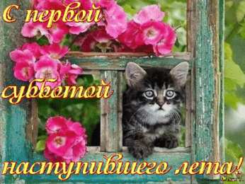 Открытки на субботу Интересные открытки на субботу. Веселые открытки на выходные.