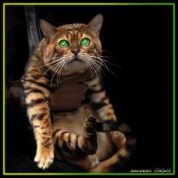 Открытки хочу к тебе Анимационные открытки хочу к тебе. Мерцающие картинки хочу к тебе.