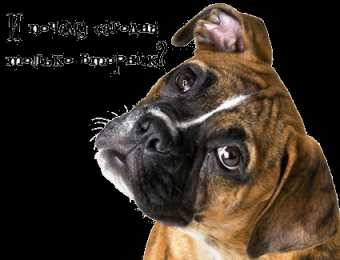 Открытки на вторник Позитивные открытки на вторник. Картинки про вторник скачать бесплатно.