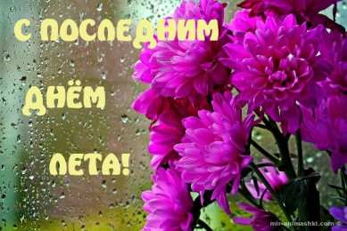 Открытки с последним днем лета Открытки с последним днем лета скачать бесплатно. Открытки прощай лето.