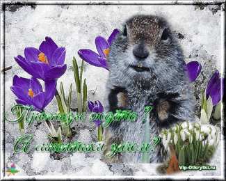 Открытки с днем сурка Веселые открытки с приколами на день сурка скачать бесплатно