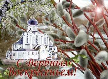 Открытки Открытки с Вербным Воскресеньем Поздравительные открытки с Вербным Воскресеньем скачать бесплатно. Открытки с Вербным Воскресеньем скачать бесплатно. Анимационное поздравление на Вербное Воскресенье. Красивые картинки на православные праздники. Религиозные открытки на Вербное Воскресенье. Красивые открытки на православные праздники.