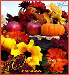 Открытки Золотая Осень  Чудесные открытки на тему Золотая Осень скачать бесплатно gif.