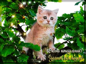 Открытки на понедельник Открытки с пожеланиями легкого понедельника скачать бесплатно.