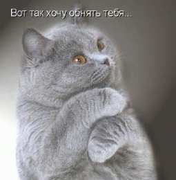 Открытки обнимаю Открытки хочу тебя обнять. Открытки крепко обнимаю скачать бесплатно.