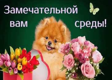 Открытки на среду Открытки с пожеланиями отличной среды. Красивые открытки на среду.