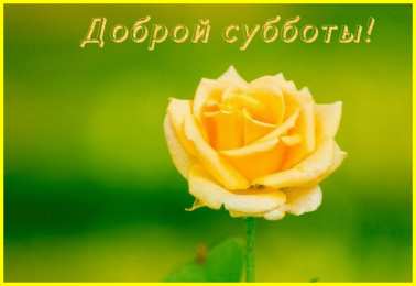 Открытки на субботу Интересные открытки на субботу. Веселые открытки на выходные.