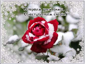 Открытки с первым днем зимы Мерцающие анимационные открытки с пожеланиями на первый день зимы