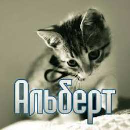 Открытки с именем Альберт Красивые открытки с именем Альберт. Открытки с днем рождения Альберт.