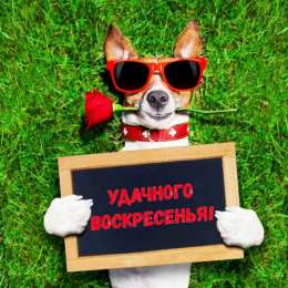 Открытки на воскресенье Мерцающие открытки про воскресенье. Открытки на воскресное утро.