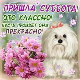 Открытки на субботу Интересные открытки на субботу. Веселые открытки на выходные.