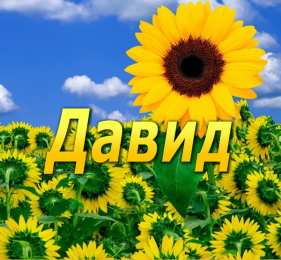 Открытки с именем Давид Открытки с именем Давид скачать бесплатно. Открытки с именем Давид gif.