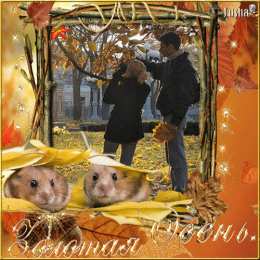 Открытки Золотая Осень  Чудесные открытки на тему Золотая Осень скачать бесплатно gif.