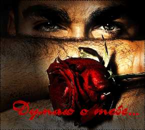 Открытки думаю о тебе Анимационные открытки с признаниями. Открытки думаю о тебе gif.