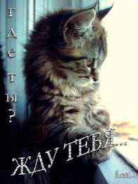 Открытки жду тебя Открытки я жду тебя gif. Открытки возвращайся скорее скачать бесплатно.