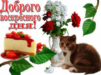 Открытки на воскресенье Мерцающие открытки про воскресенье. Открытки на воскресное утро.