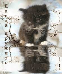 Открытки давай дружить Красивые анимационные открытки давай дружить скачать бесплатно.