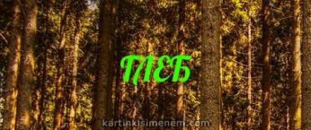 Открытки с именем Глеб Анимационные открытки с именем Глеб. Открытки с днём рождения Глеб.