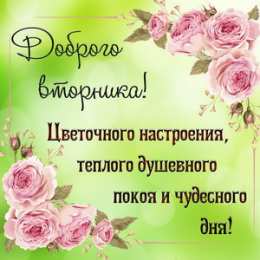 Открытки Открытки на вторник Позитивные открытки на вторник. Картинки про вторник скачать бесплатно. Прикольные открытки на тему сегодня вторник. Открытки с приколами на тему вторник. Мерцающие открытки счастливого вторника. Картинки с пожеланиями легкого вторника. 