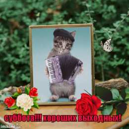 Открытки на субботу Интересные открытки на субботу. Веселые открытки на выходные.