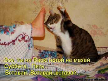 Открытки на субботу Интересные открытки на субботу. Веселые открытки на выходные.