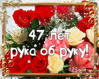 Открытки на Кашемировую/Шерстяную свадьбу 47 лет Открытки на Кашемировую/Шерстяную свадьбу 47 лет скачать бесплатно.