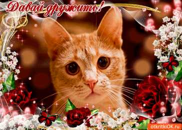 Открытки давай дружить Красивые анимационные открытки давай дружить скачать бесплатно.