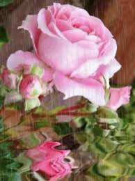 Открытки с цветами Открытки с полевыми цветами. Красивые открытки с цветами с пожеланиями. 