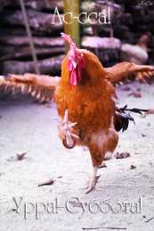 Открытки на субботу Интересные открытки на субботу. Веселые открытки на выходные.